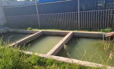 VENDE HERMOSA PARCELA EN OLIVAR ALTO RANCAGUA