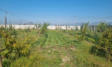 VENDE HERMOSA PARCELA EN OLIVAR ALTO RANCAGUA