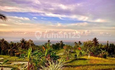 For Sale Super Fantastic View 2 Private Joglo Villa In Premium Area