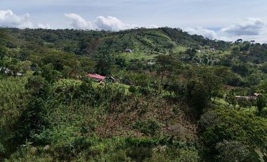 VENTA DE CASA LOTE EN MONIQUIRÁ BOYACÁ