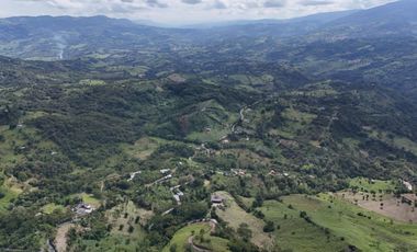 VENTA DE CASA LOTE EN MONIQUIRÁ BOYACÁ