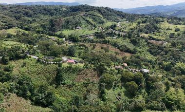 VENTA DE CASA LOTE EN MONIQUIRÁ BOYACÁ