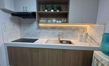 New Deluxe 4 Bedroom Unit for Sale in Parkside Villas, Pasay City