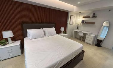 New Deluxe 4 Bedroom Unit for Sale in Parkside Villas, Pasay City
