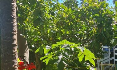 ✨ Gran Oportunidad en Laguna Verde – Casa Céntrica con Negocio Funcionando y Amplio Terreno