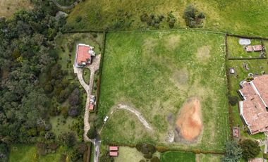 LOTE SOPO YERBABUENA