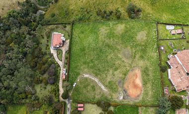 LOTE SOPO YERBABUENA