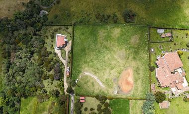 LOTE SOPO YERBABUENA