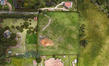 LOTE SOPO YERBABUENA