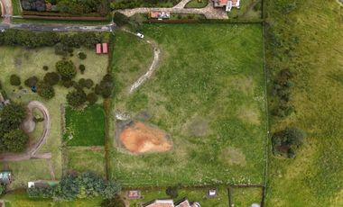 LOTE SOPO YERBABUENA