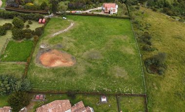 LOTE SOPO YERBABUENA