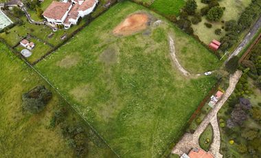 LOTE SOPO YERBABUENA