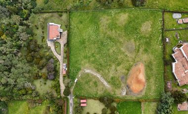 LOTE SOPO YERBABUENA