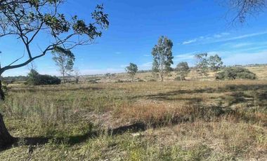 Remato Rancho de 9 HAS y 10 caballerizas, en VENTA. En Aculco Estado de Mexico. Precio de oportunidad...