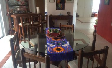 PASEOS DEL BOSQUE VISTA ESPECTACULAR A LOS VOLCANES