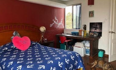 PASEOS DEL BOSQUE VISTA ESPECTACULAR A LOS VOLCANES