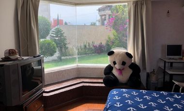 PASEOS DEL BOSQUE VISTA ESPECTACULAR A LOS VOLCANES