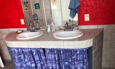 PASEOS DEL BOSQUE VISTA ESPECTACULAR A LOS VOLCANES