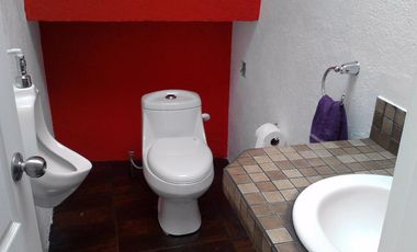 PASEOS DEL BOSQUE VISTA ESPECTACULAR A LOS VOLCANES