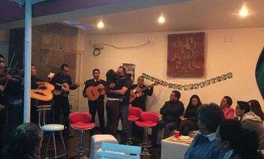 PASEOS DEL BOSQUE VISTA ESPECTACULAR A LOS VOLCANES