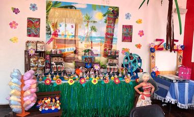 PASEOS DEL BOSQUE VISTA ESPECTACULAR A LOS VOLCANES