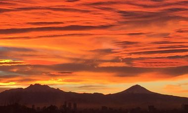 PASEOS DEL BOSQUE VISTA ESPECTACULAR A LOS VOLCANES