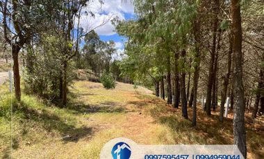 🔴 VENDO TERRENO EN CUENCA SECTOR BAJO ALTO – PUICAI