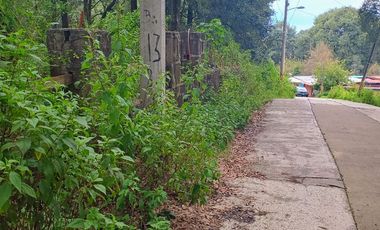 Terreno campestre Mazatla