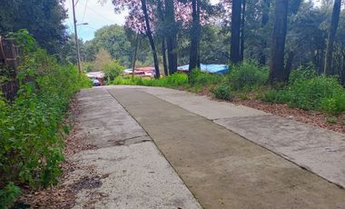 Terreno campestre Mazatla