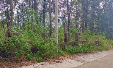 Terreno campestre Mazatla