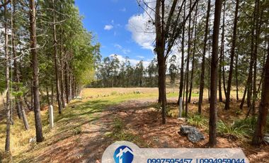 🔴 VENDO TERRENO EN CUENCA SECTOR NULTI – VIRGEN PAMBA