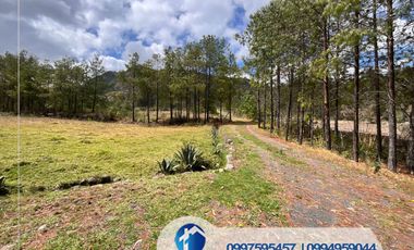 🔴 VENDO TERRENO EN CUENCA SECTOR NULTI – VIRGEN PAMBA