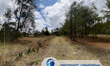 🔴 VENDO TERRENO EN CUENCA SECTOR NULTI – VIRGEN PAMBA