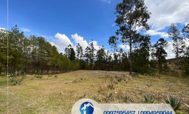 🔴 VENDO TERRENO EN CUENCA SECTOR NULTI – VIRGEN PAMBA
