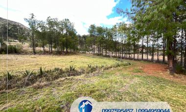 🔴 VENDO TERRENO EN CUENCA SECTOR NULTI – VIRGEN PAMBA