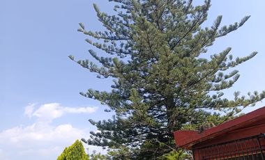 En venta Rancho Autosustentable en Nepantla Colinda con Estado de Morelos