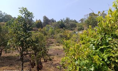 En venta Rancho Autosustentable en Nepantla Colinda con Estado de Morelos