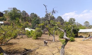 En venta Rancho Autosustentable en Nepantla Colinda con Estado de Morelos