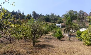 En venta Rancho Autosustentable en Nepantla Colinda con Estado de Morelos