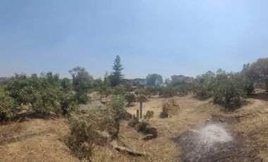 En venta Rancho Autosustentable en Nepantla Colinda con Estado de Morelos