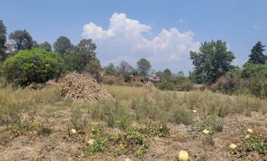 En venta Rancho Autosustentable en Nepantla Colinda con Estado de Morelos