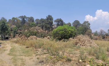 En venta Rancho Autosustentable en Nepantla Colinda con Estado de Morelos