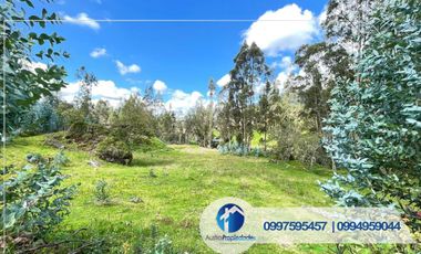 𝑽𝑬𝑵𝑻𝑨 𝑫𝑬 𝑨𝑴𝑷𝑳𝑰𝑶 𝑻𝑬𝑹𝑹𝑬𝑵𝑶 𝑪𝑶𝑵 𝑪𝑨𝑺𝑨