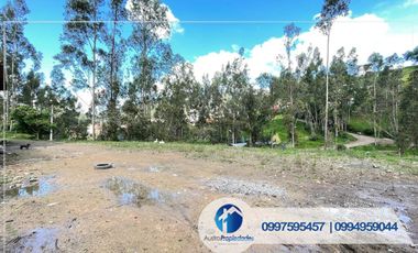 𝑽𝑬𝑵𝑻𝑨 𝑫𝑬 𝑨𝑴𝑷𝑳𝑰𝑶 𝑻𝑬𝑹𝑹𝑬𝑵𝑶 𝑪𝑶𝑵 𝑪𝑨𝑺𝑨