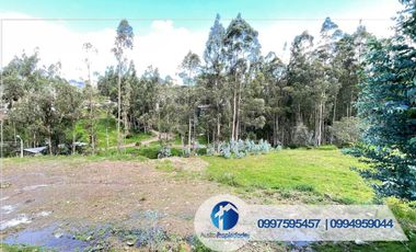 𝑽𝑬𝑵𝑻𝑨 𝑫𝑬 𝑨𝑴𝑷𝑳𝑰𝑶 𝑻𝑬𝑹𝑹𝑬𝑵𝑶 𝑪𝑶𝑵 𝑪𝑨𝑺𝑨