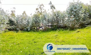 𝑽𝑬𝑵𝑻𝑨 𝑫𝑬 𝑨𝑴𝑷𝑳𝑰𝑶 𝑻𝑬𝑹𝑹𝑬𝑵𝑶 𝑪𝑶𝑵 𝑪𝑨𝑺𝑨