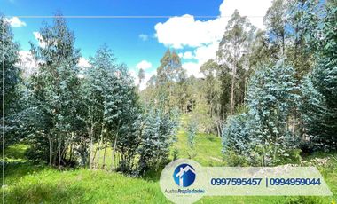 𝑽𝑬𝑵𝑻𝑨 𝑫𝑬 𝑨𝑴𝑷𝑳𝑰𝑶 𝑻𝑬𝑹𝑹𝑬𝑵𝑶 𝑪𝑶𝑵 𝑪𝑨𝑺𝑨