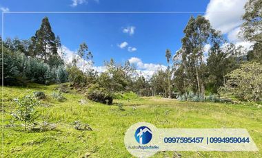 𝑽𝑬𝑵𝑻𝑨 𝑫𝑬 𝑨𝑴𝑷𝑳𝑰𝑶 𝑻𝑬𝑹𝑹𝑬𝑵𝑶 𝑪𝑶𝑵 𝑪𝑨𝑺𝑨