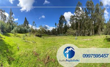 𝑽𝑬𝑵𝑻𝑨 𝑫𝑬 𝑨𝑴𝑷𝑳𝑰𝑶 𝑻𝑬𝑹𝑹𝑬𝑵𝑶 𝑪𝑶𝑵 𝑪𝑨𝑺𝑨