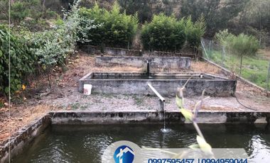 VENTA DE QUINTA EN NABON CON VERTIENTE DE AGUA